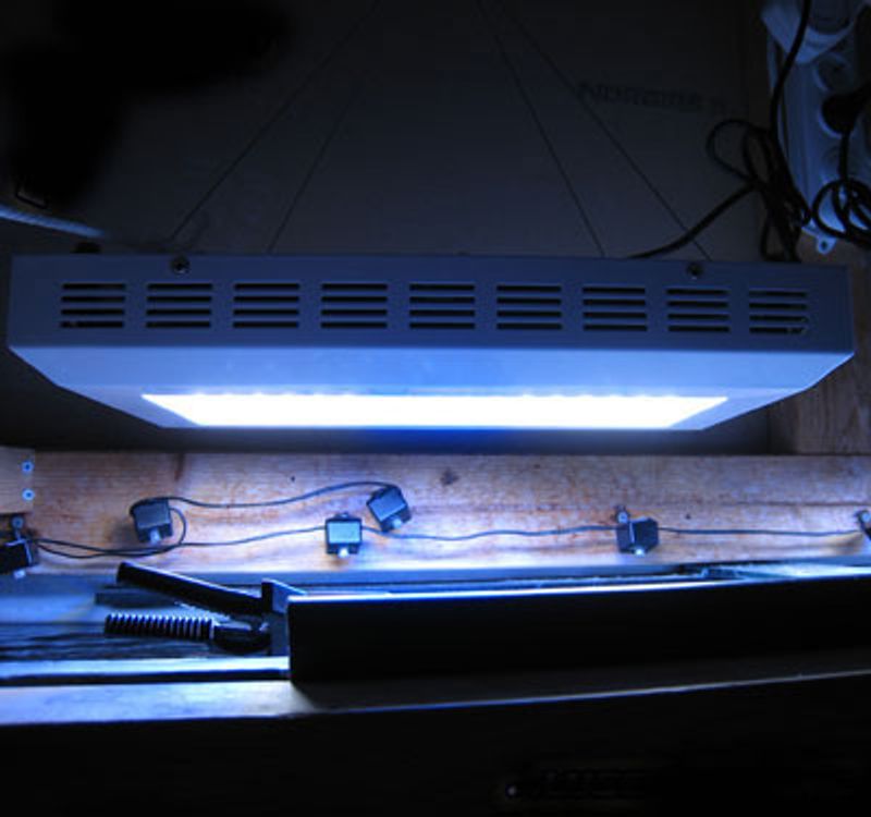 Akvarie lampe 120W LED dagslys, Saltvann